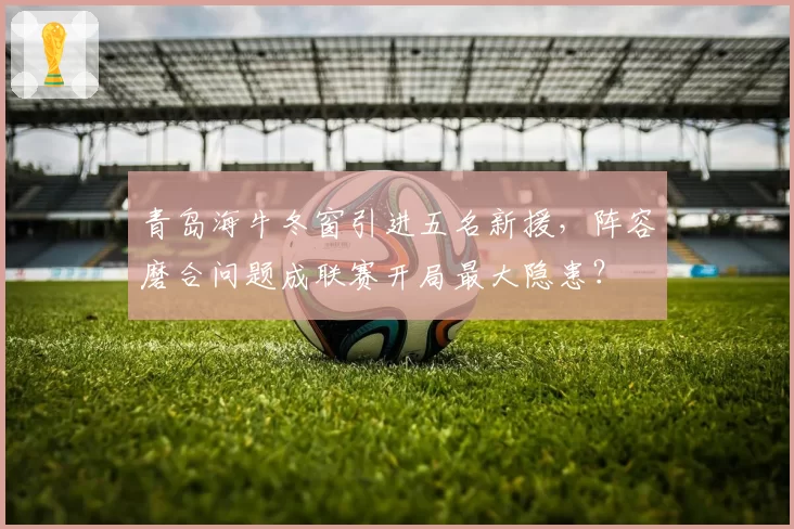 青岛海牛冬窗引进五名新援，阵容磨合问题成联赛开局最大隐患？