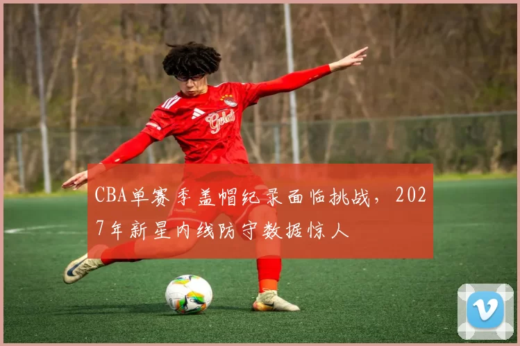 CBA单赛季盖帽纪录面临挑战，2027年新星内线防守数据惊人
