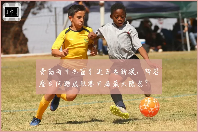 青岛海牛冬窗引进五名新援，阵容磨合问题成联赛开局最大隐患？